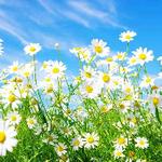 Writing Center closed during spring break